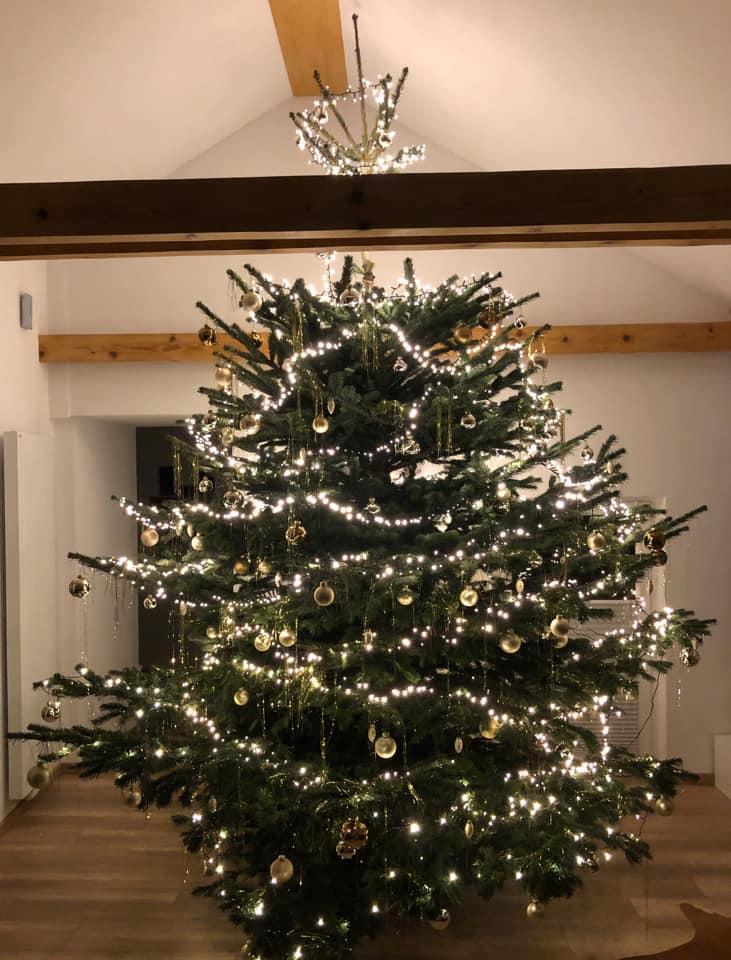 Die schönsten Weihnachtsbäume unserer Facebook-User - Region | Nordbayern